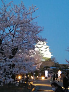 姫路城（イベント）に投稿された画像（2022/4/4）