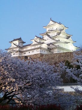 姫路城（イベント）に投稿された画像（2022/4/4）