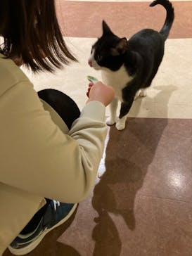 Moff animal world MARK IS みなとみらい店に投稿された画像（2022/4/4）