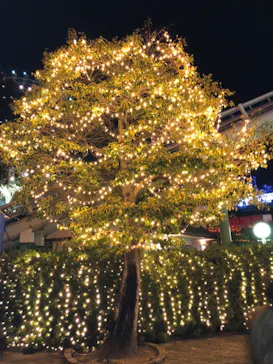 ひらかたパークに投稿された画像（2022/4/4）