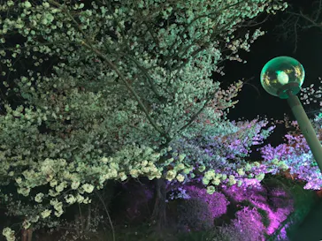 ひらかたパークに投稿された画像（2022/4/4）