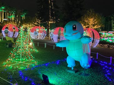 美らヤシパークオキナワ・東南植物楽園に投稿された画像（2022/4/4）