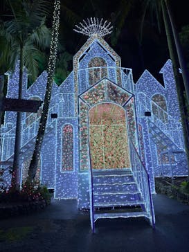 美らヤシパークオキナワ・東南植物楽園に投稿された画像（2022/4/4）