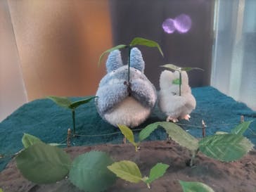 伊豆テディベア・ミュージアムに投稿された画像（2022/4/4）