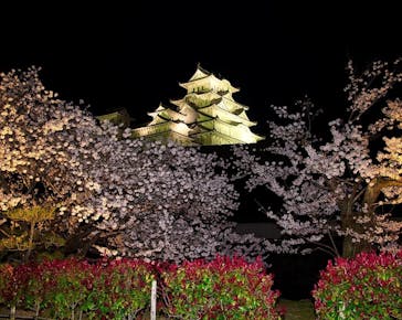 姫路城（イベント）に投稿された画像（2022/4/4）