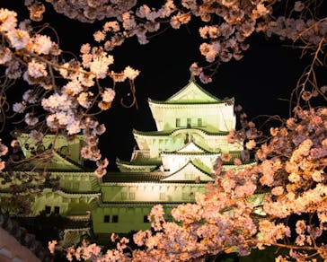 姫路城（イベント）に投稿された画像（2022/4/4）