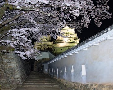 姫路城（イベント）に投稿された画像（2022/4/4）