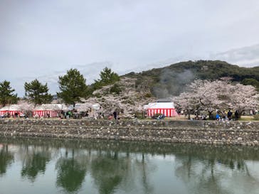 京阪電車に投稿された画像（2022/4/4）