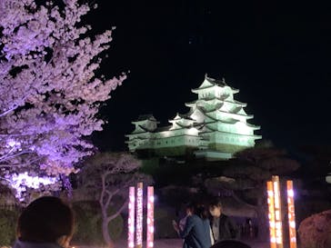 姫路城（イベント）に投稿された画像（2022/4/4）