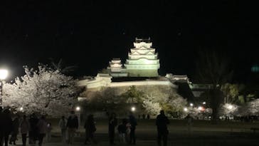 姫路城（イベント）に投稿された画像（2022/4/4）