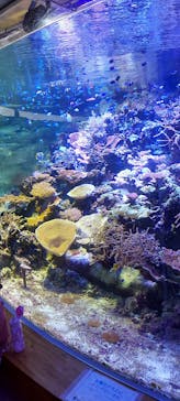 名古屋港水族館に投稿された画像（2022/4/4）