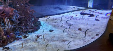 名古屋港水族館に投稿された画像（2022/4/4）