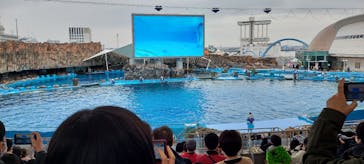 名古屋港水族館に投稿された画像（2022/4/4）