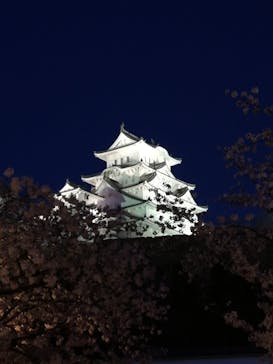 姫路城（イベント）に投稿された画像（2022/4/4）