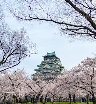 大阪城公園 西の丸庭園に投稿された画像（2022/4/4）