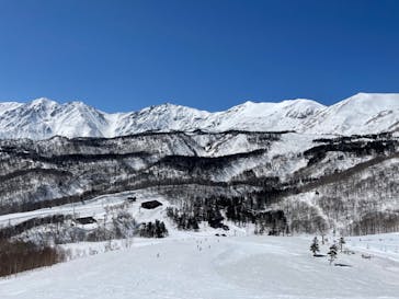 つがいけマウンテンリゾートに投稿された画像（2022/4/4）