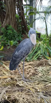 神戸どうぶつ王国に投稿された画像（2022/4/4）