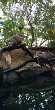 神戸どうぶつ王国に投稿された画像（2022/4/4）