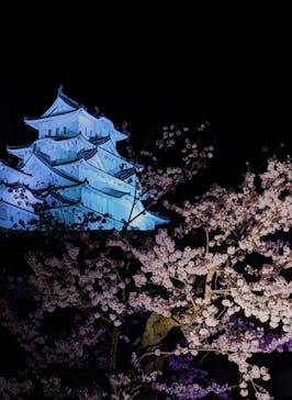 姫路城（イベント）に投稿された画像（2022/4/5）