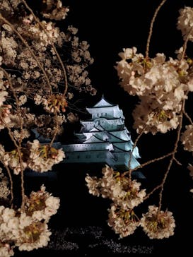 姫路城（イベント）に投稿された画像（2022/4/5）