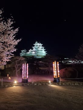 姫路城（イベント）に投稿された画像（2022/4/5）