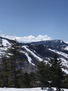 志賀高原焼額山スキー場に投稿された画像（2022/4/5）