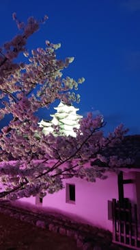 姫路城（イベント）に投稿された画像（2022/4/5）