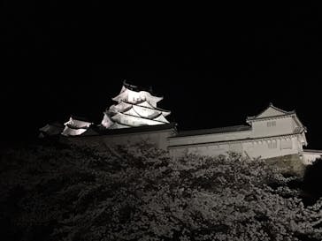 姫路城（イベント）に投稿された画像（2022/4/5）