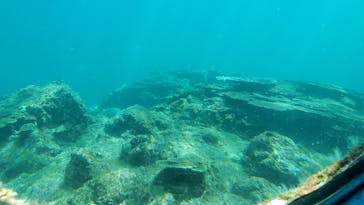 串本海中公園水族館に投稿された画像（2022/4/5）