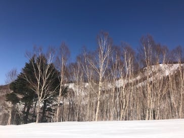 志賀高原焼額山スキー場に投稿された画像（2022/4/5）