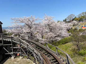 ひらかたパークに投稿された画像（2022/4/5）