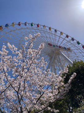 淡路ワールドパークONOKOROに投稿された画像（2022/4/5）