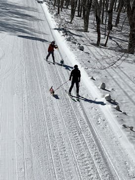 野沢温泉スキー場に投稿された画像（2022/4/5）