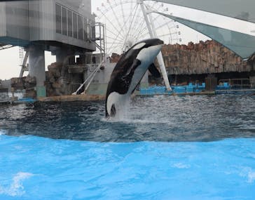 名古屋港水族館に投稿された画像（2022/4/5）