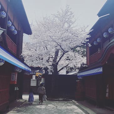 東映太秦映画村に投稿された画像（2022/4/5）