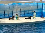 新江ノ島水族館に投稿された画像（2022/4/5）