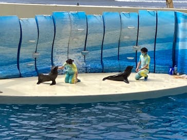 新江ノ島水族館に投稿された画像（2022/4/5）