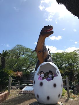 伊豆ぐらんぱる公園に投稿された画像（2022/4/5）