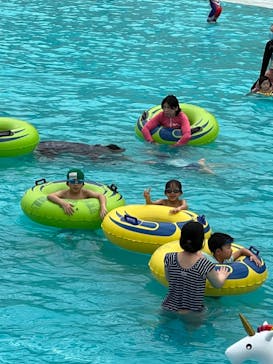 東京サマーランドに投稿された画像（2022/4/5）