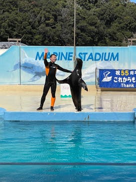 下田海中水族館に投稿された画像（2022/4/5）