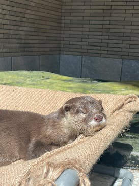 下田海中水族館に投稿された画像（2022/4/5）