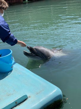 下田海中水族館に投稿された画像（2022/4/5）