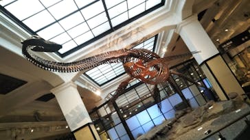 国立科学博物館に投稿された画像（2022/4/5）