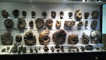 国立科学博物館に投稿された画像（2022/4/5）