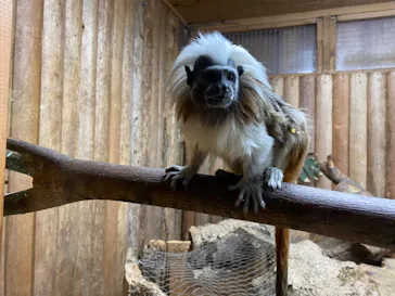 神戸どうぶつ王国に投稿された画像（2022/4/5）