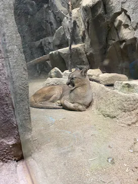 神戸どうぶつ王国に投稿された画像（2022/4/5）