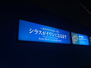 新江ノ島水族館に投稿された画像（2022/4/5）