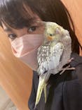 Moff animal cafe MARKIS 福岡ももち店に投稿された画像（2022/4/5）