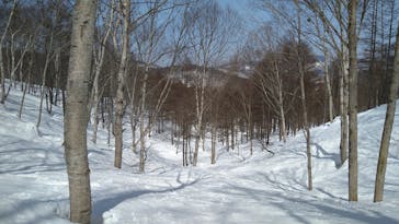 斑尾高原スキー場に投稿された画像（2022/4/5）