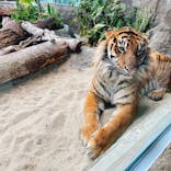 神戸どうぶつ王国に投稿された画像（2022/4/5）